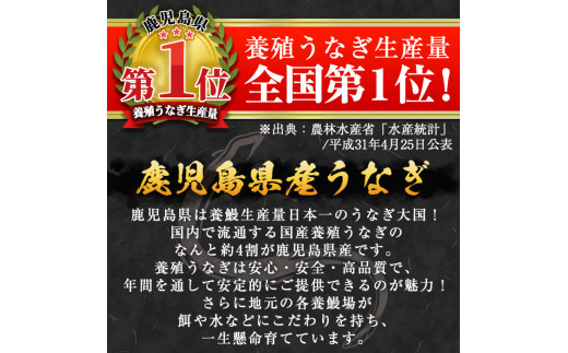 鹿児島県霧島市のふるさと納税 D-037 鹿児島産うなぎ蒲焼セット【うなぎの尾方】