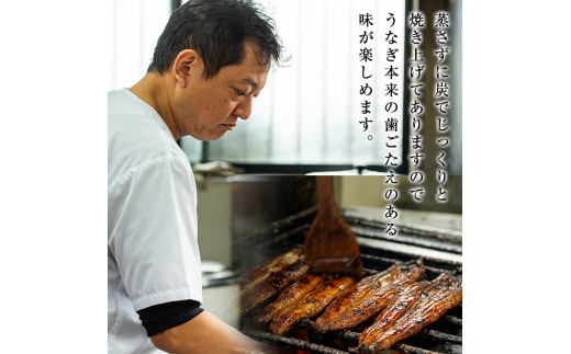 鹿児島県霧島市のふるさと納税 D-037 鹿児島産うなぎ蒲焼セット【うなぎの尾方】