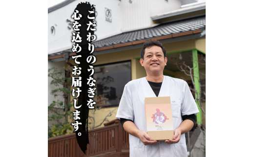 鹿児島県霧島市のふるさと納税 D-037 鹿児島産うなぎ蒲焼セット【うなぎの尾方】