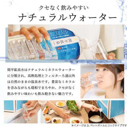 鹿児島県霧島市のふるさと納税 A-031 関平鉱泉水（ペットボトル）500ml×24本！美容と健康のミネラル成分シリカが豊富なミネラルウォーター【関平鉱泉所】霧島市 シリカ水
