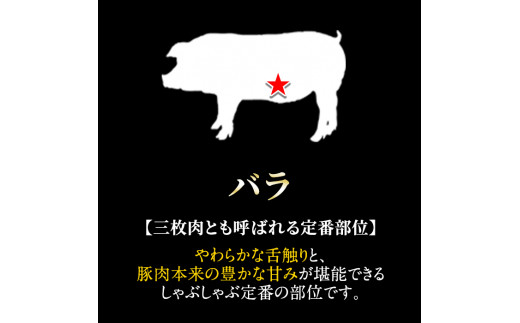 鹿児島県霧島市のふるさと納税 A-159 鹿児島県産！鹿児島黒豚のしゃぶしゃぶ鍋セット【九面屋】