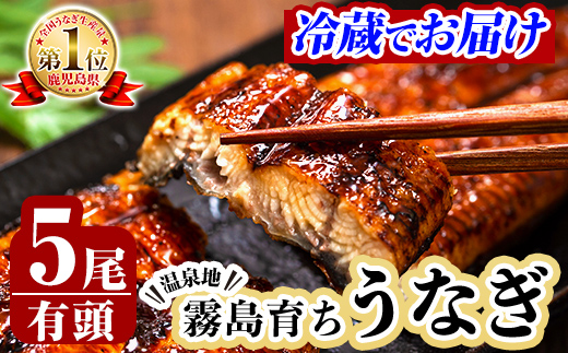 鹿児島県霧島市のふるさと納税 C-077-RZ ＜冷蔵でお届け＞霧島市育ちのあの「うなぎ」130～150g×5尾【田代水産】国産 霧島市 鰻 蒲焼き