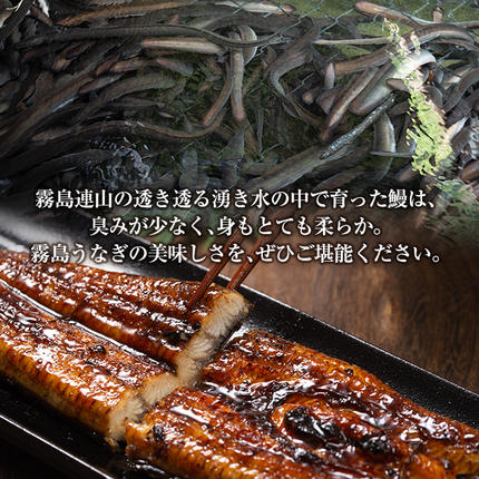 鹿児島県霧島市のふるさと納税 C-077-RZ ＜冷蔵でお届け＞霧島市育ちのあの「うなぎ」130～150g×5尾【田代水産】国産 霧島市 鰻 蒲焼き