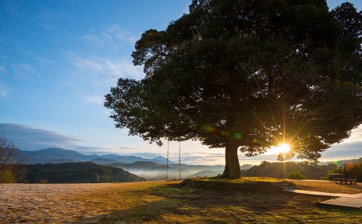 鹿児島県霧島市のふるさと納税 PK-002 天空の森「霖雨の森」ペア宿泊券(1泊2食付)温泉付きヴィラで完全プライベート1泊2食付きペア宿泊チケット【天空の森】宿泊 旅行 チケット 宿泊券 温泉 旅行券 温泉 高級宿