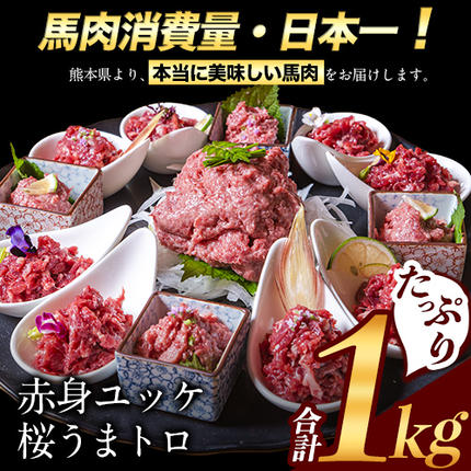 熊本県御船町のふるさと納税 赤身ユッケ桜うまトロセット 計1kg 1000g ユッケ 桜うまトロ(ネギトロ) 千興ファーム 馬肉 冷凍 《60日以内に出荷予定(土日祝除く)》 新鮮 さばきたて 真空パック 肉 熊本県御船町 馬刺し おつまみ