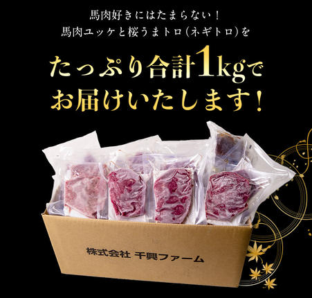 熊本県御船町のふるさと納税 赤身ユッケ桜うまトロセット 計1kg 1000g ユッケ 桜うまトロ(ネギトロ) 千興ファーム 馬肉 冷凍 《60日以内に出荷予定(土日祝除く)》 新鮮 さばきたて 真空パック 肉 熊本県御船町 馬刺し おつまみ